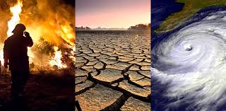 climate change